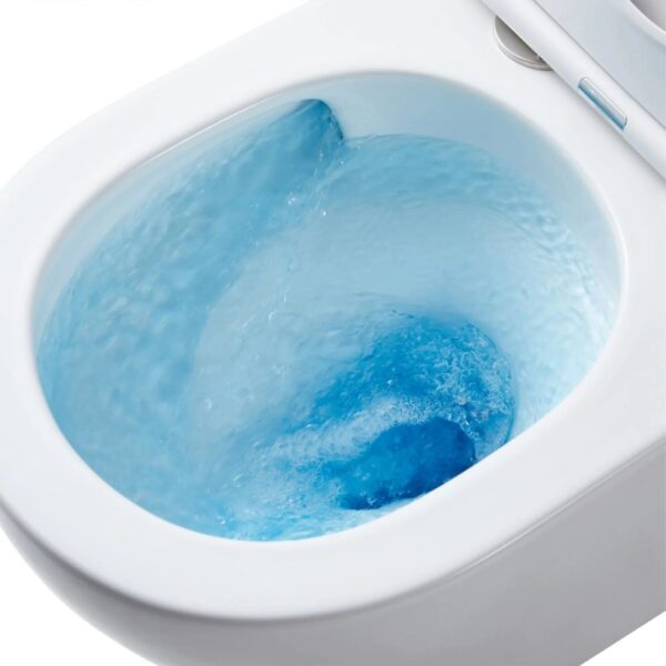 Flushing1