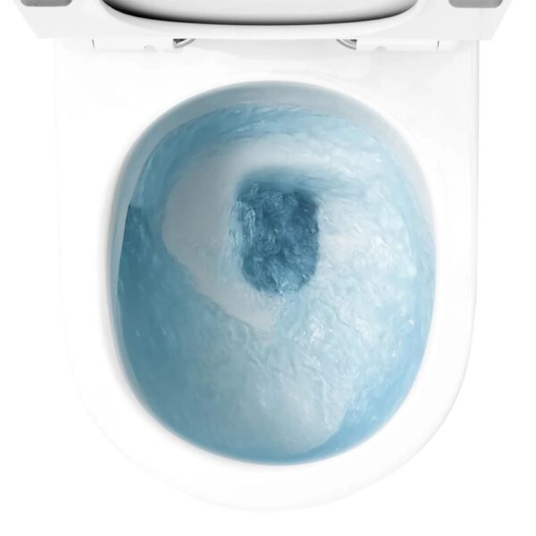 Flushing2