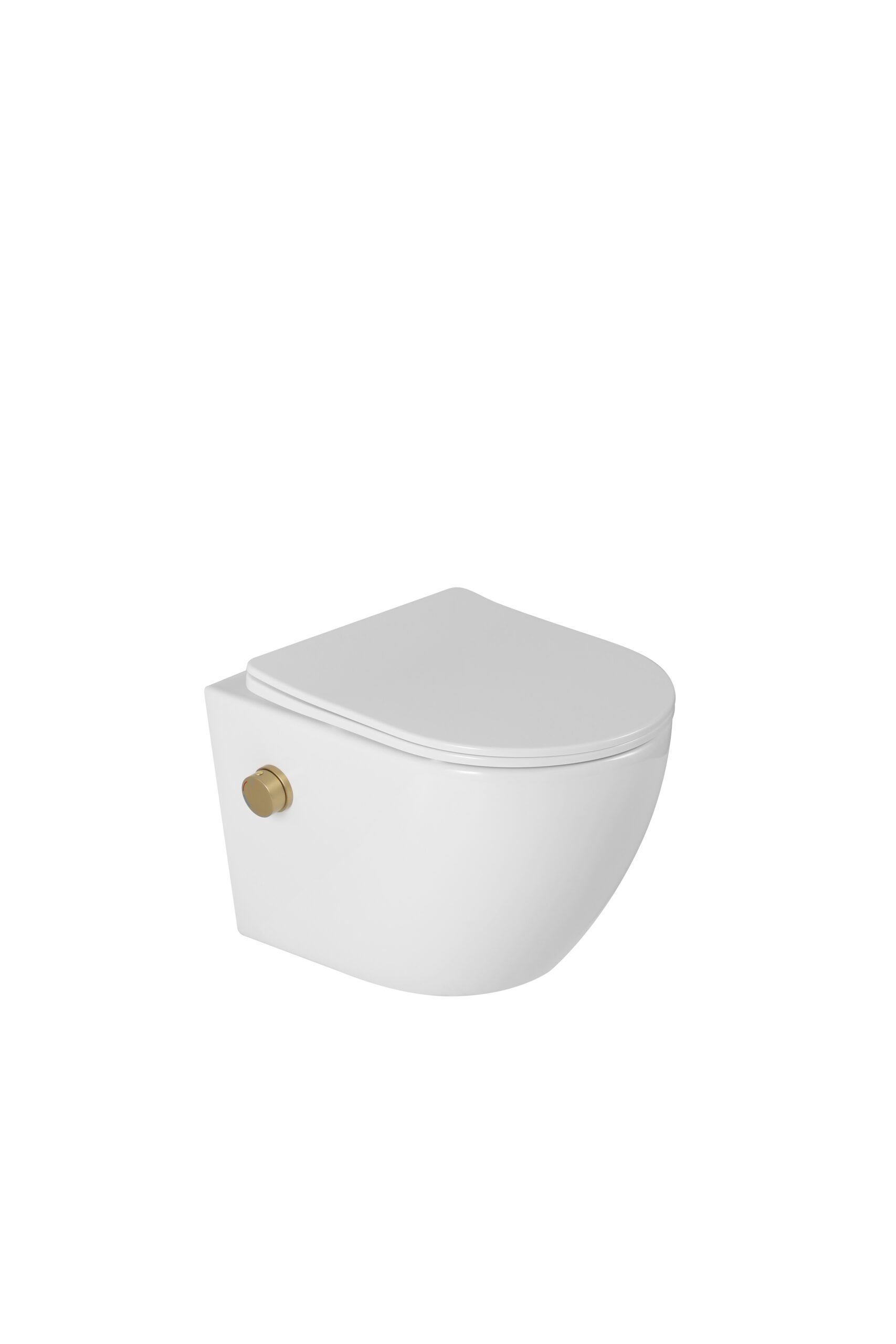 Hangend bidet toilet glans wit