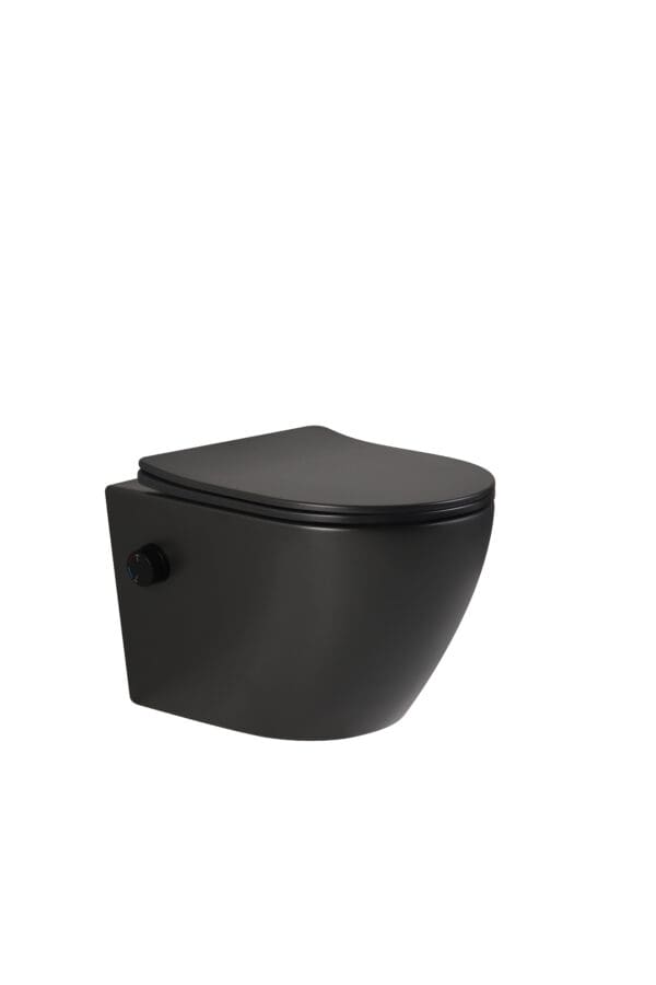 Zwart bidet toilet