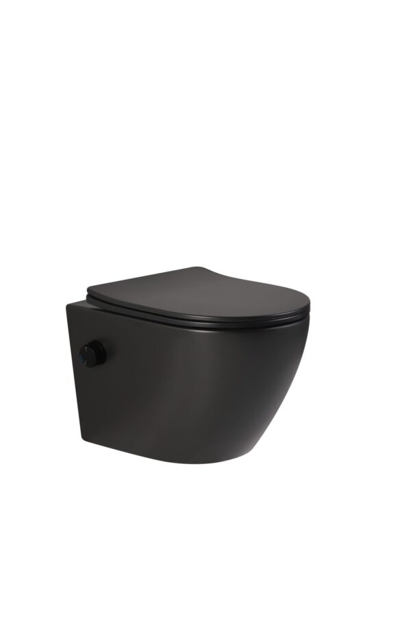 Zwart bidet toilet