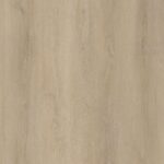 Sample Limited Rigid Click Smokey Eiken