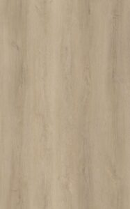 Sample Limited Rigid Click Smokey Eiken