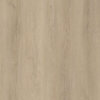 Sample Limited Rigid Click Smokey Eiken