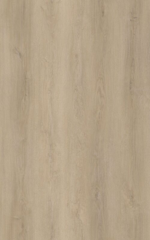 Sample Limited Rigid Click Smokey Eiken