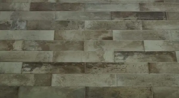 Sample Brunei Forest 6,5x25