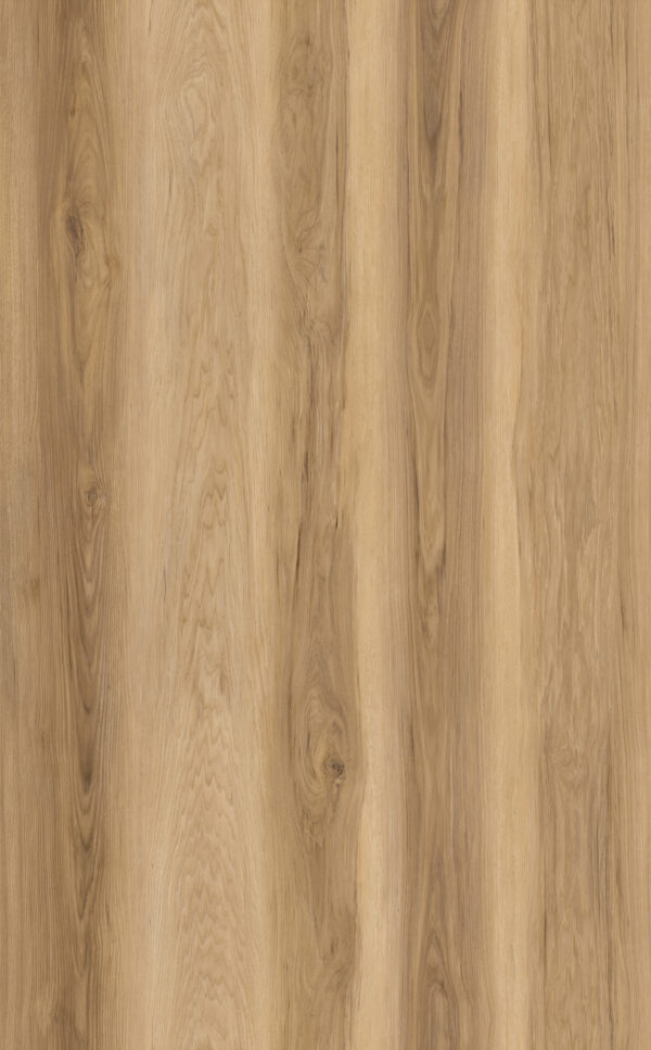 Sample Limited Rigid Click Eiken Naturel