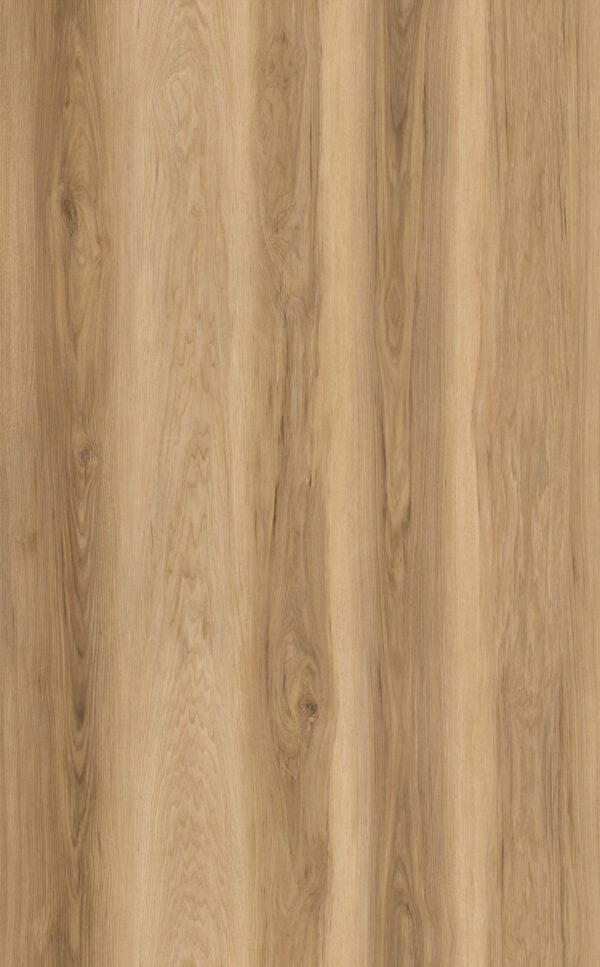 Sample Limited Rigid Click Eiken Naturel