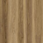 Sample Limited Rigid Click Eiken Bruin