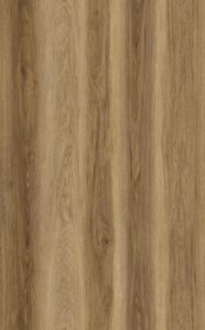 Sample Limited Rigid Click Eiken Bruin