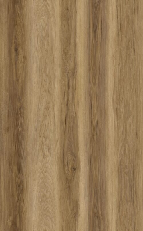 Sample Limited Rigid Click Eiken Bruin