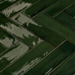 Wandtegel Zenya Groen 7,5x30 | Sanimaster