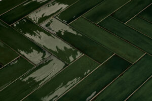 Wandtegel Zenya Groen 7,5x30 | Sanimaster